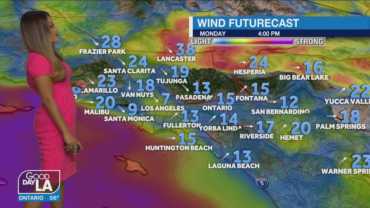 Weather Forecast for Monday, Oct. 11
