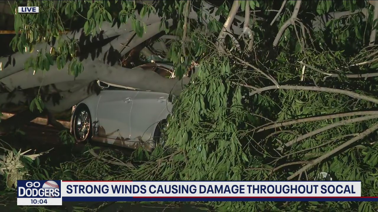 Downed trees smash cars as strong winds batter Southern California