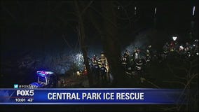 Central Park pond rescue