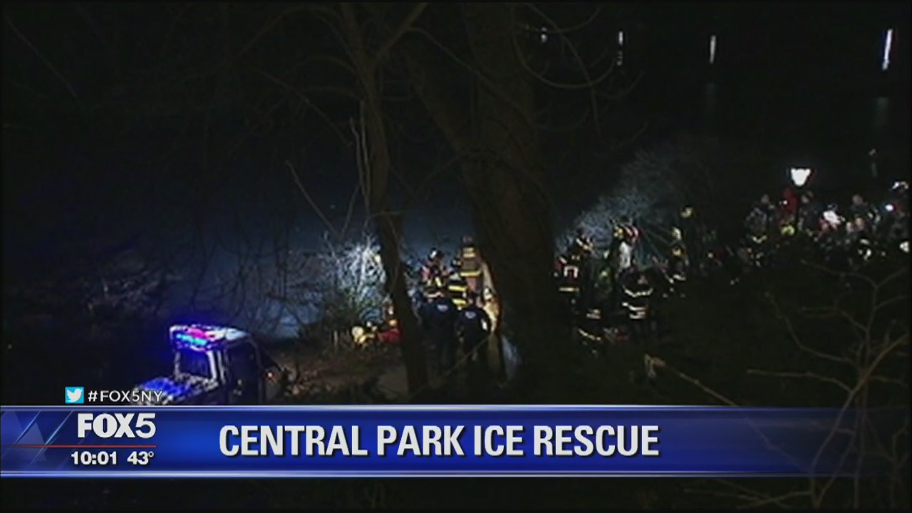 Central Park pond rescue