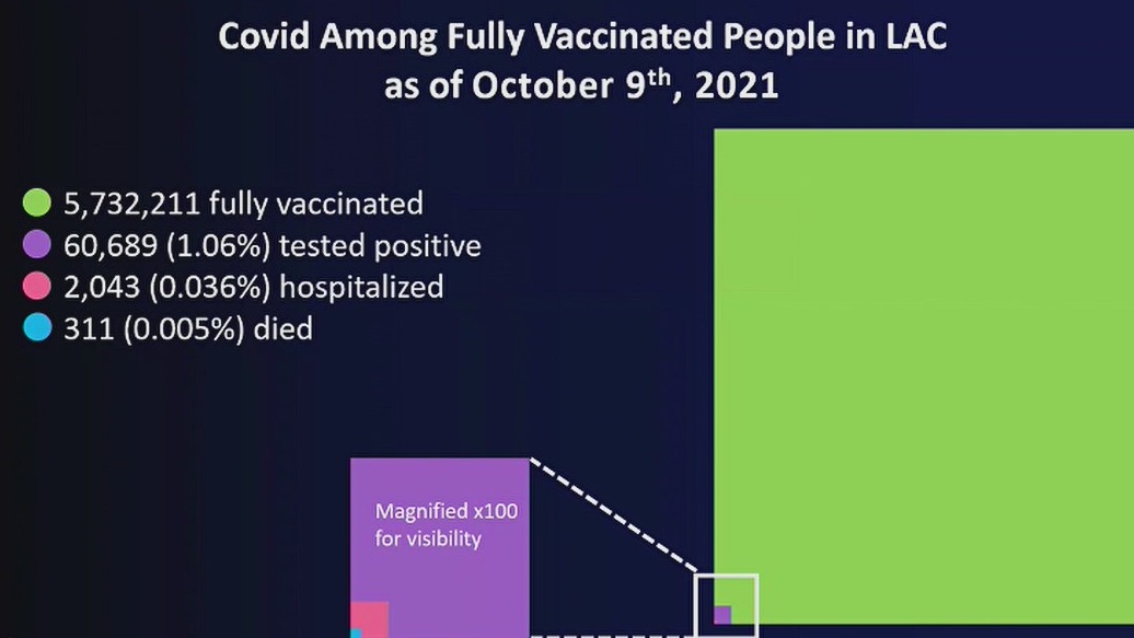 Vaccine efficacy questioned after Colin Powell's death