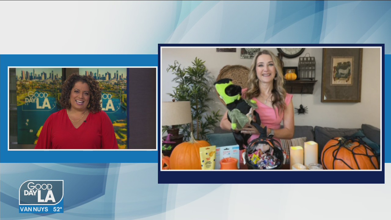 Keeping our pets safe this Halloween with Dr. Ruth MacPete