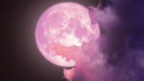 Pink Moon