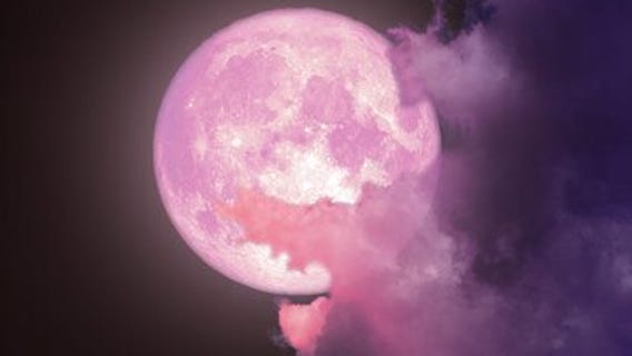 Pink Moon
