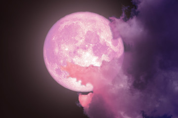 Pink Moon