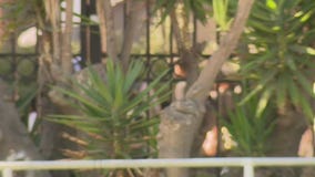 Alleged sexual assault raises student safety concerns on LAUSD campuses