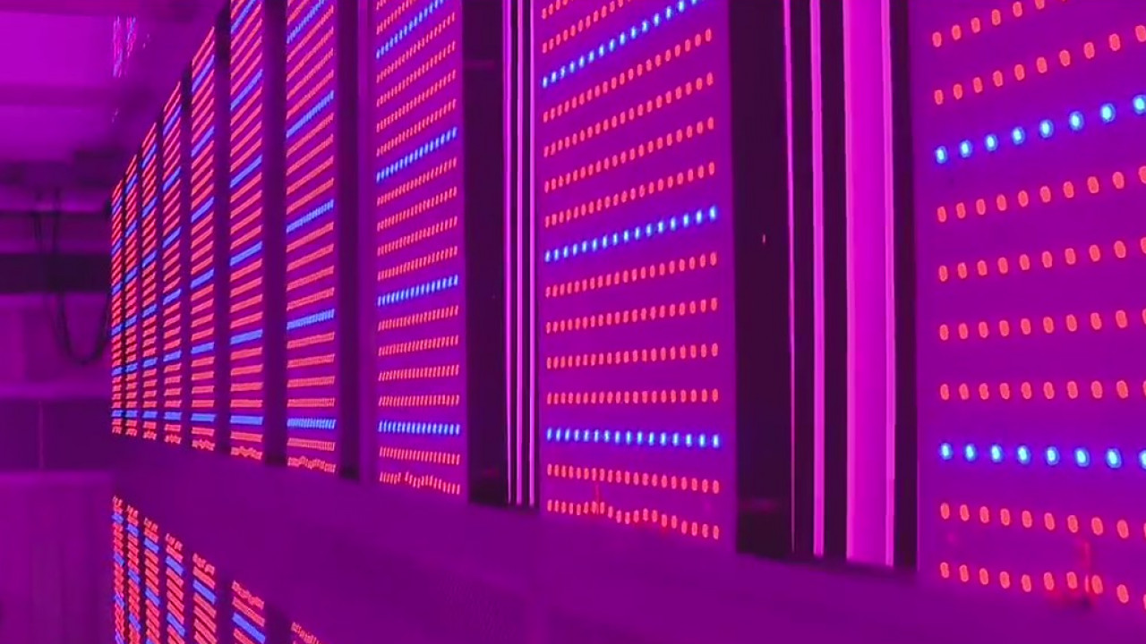 Find out more about LA?s first indoor shipping container farm