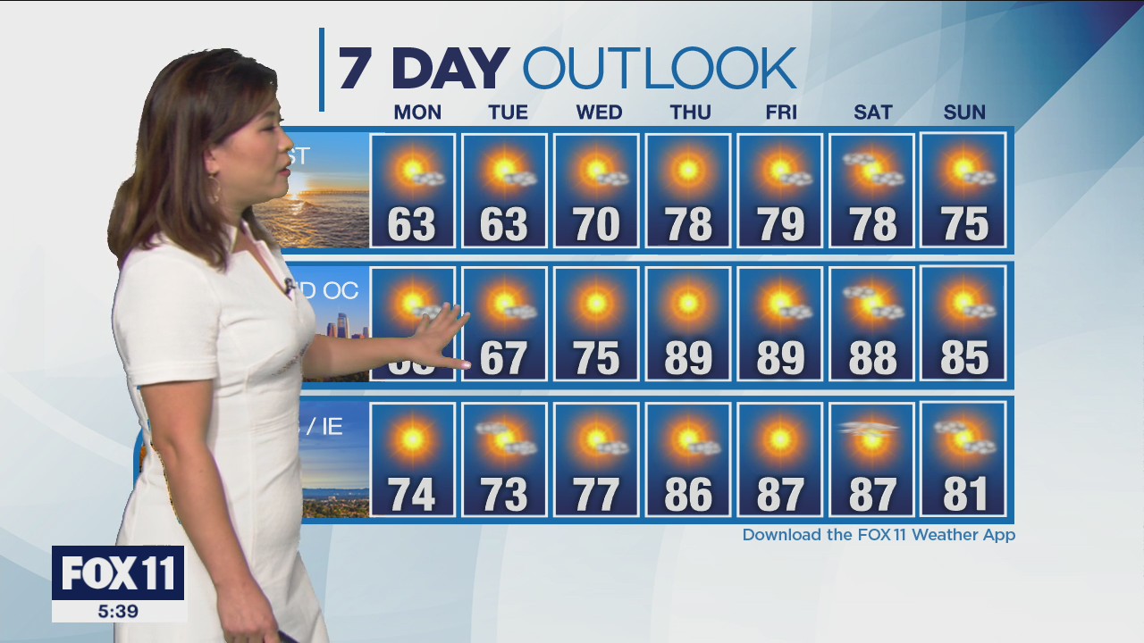 Weather Forecast: Sunday, Nov. 17