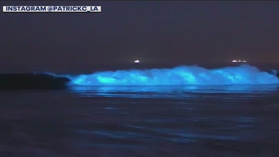 Blue Waves lighting up South Bay Coast