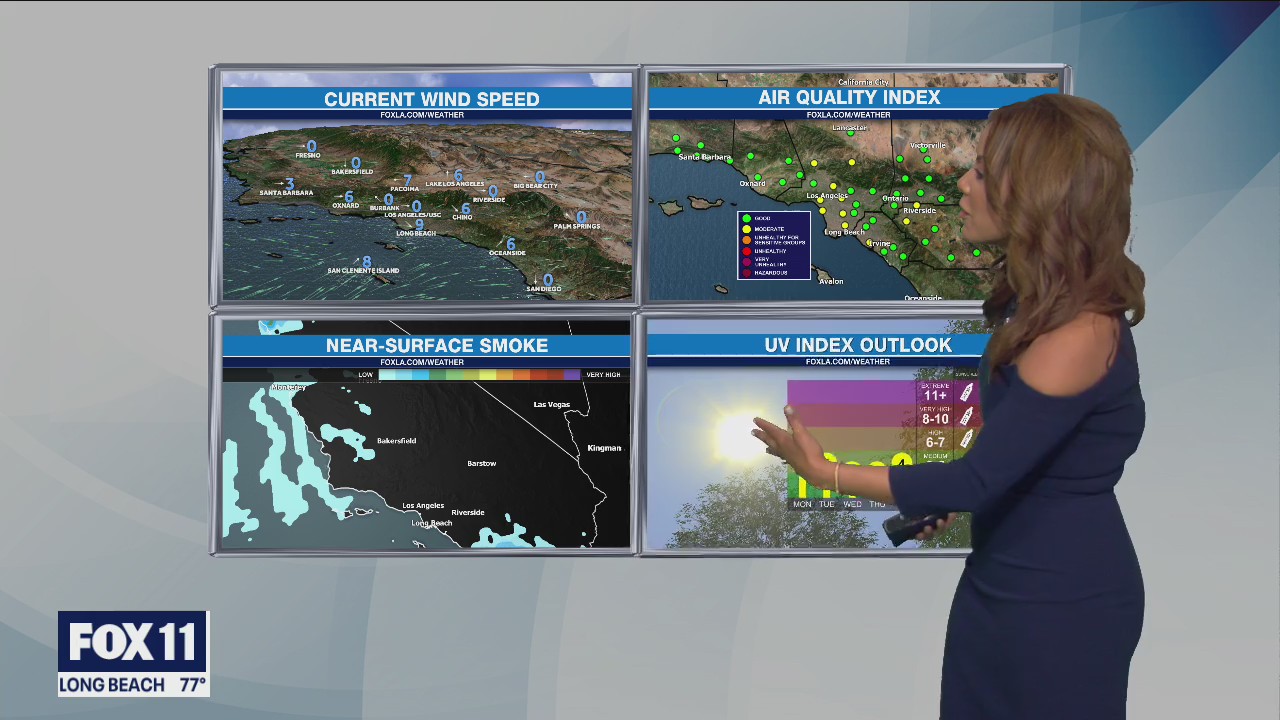 Weather Forecast: Sunday, Nov. 14