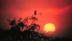 We're Losing Minutes of Daylight Each Day.