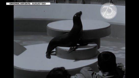 Celebrating 75 Years - The Detroit Children's Zoo on Belle Isle