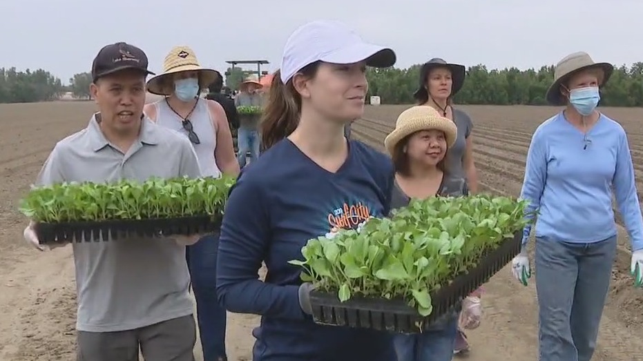 Second Harvest Food Bank farm in Irvine showcases first harvest