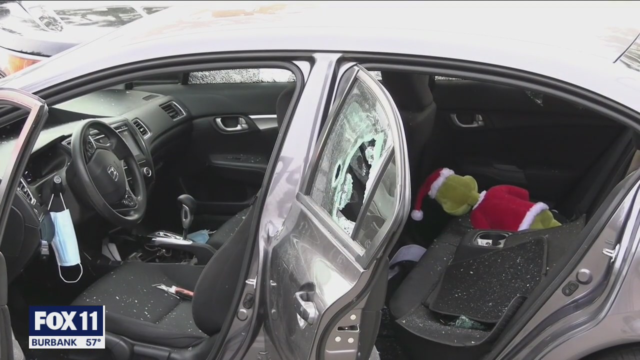 Wild Police Chase: Nonlethal bullets, K9 doesn't stop suspect