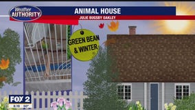 Meet Green Bean & Winter