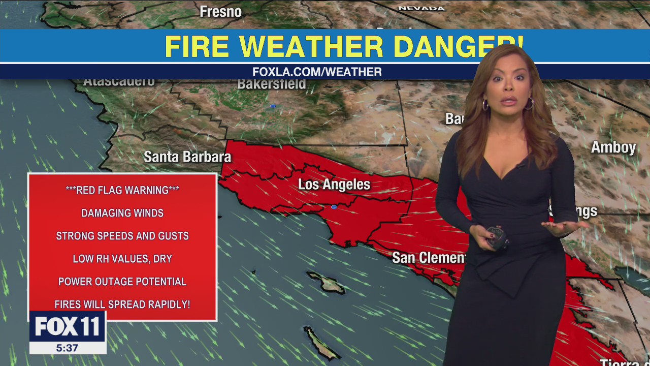 Weather Forecast: Wednesday, Nov. 24