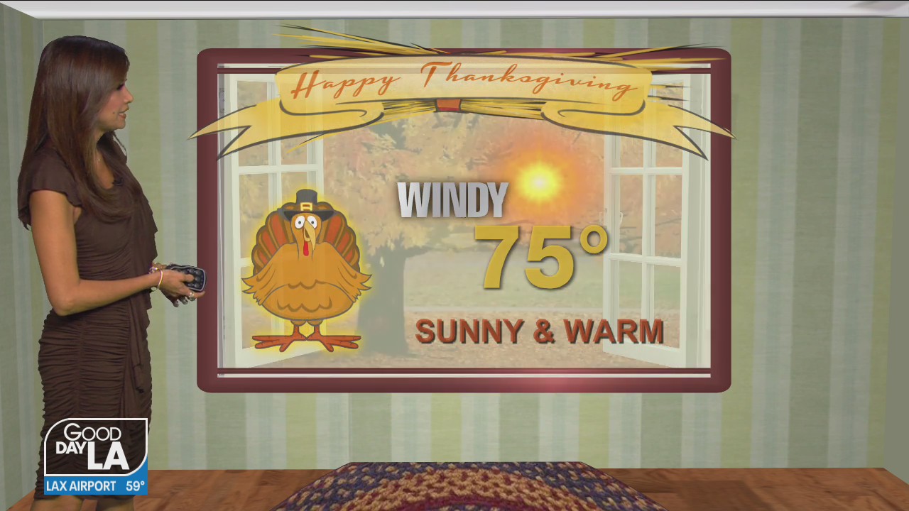 Thanksgiving Day Forecast