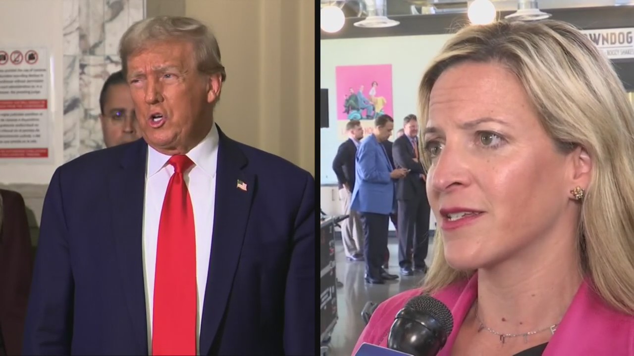 Democrat activist sues Secretary of State to keep Trump off ballot