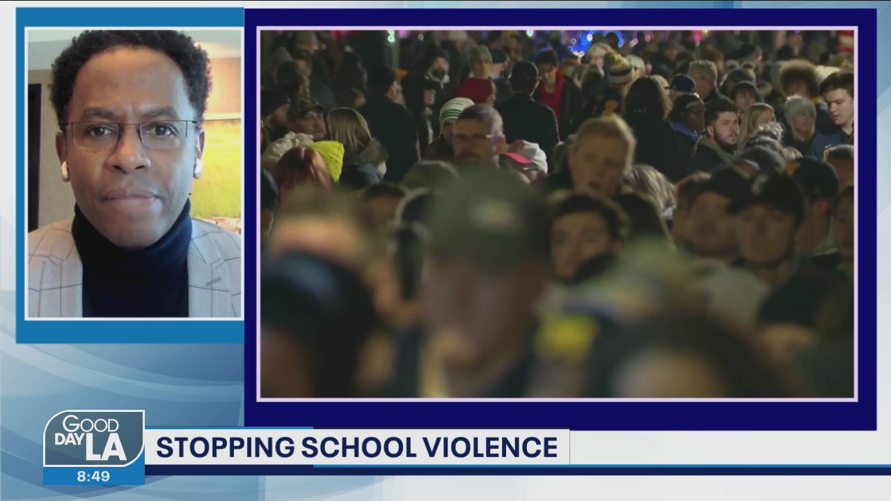 Stopping School Violence