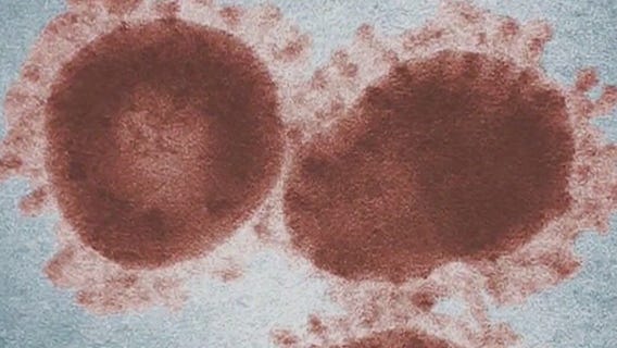 Omicron forces another round of cancellations