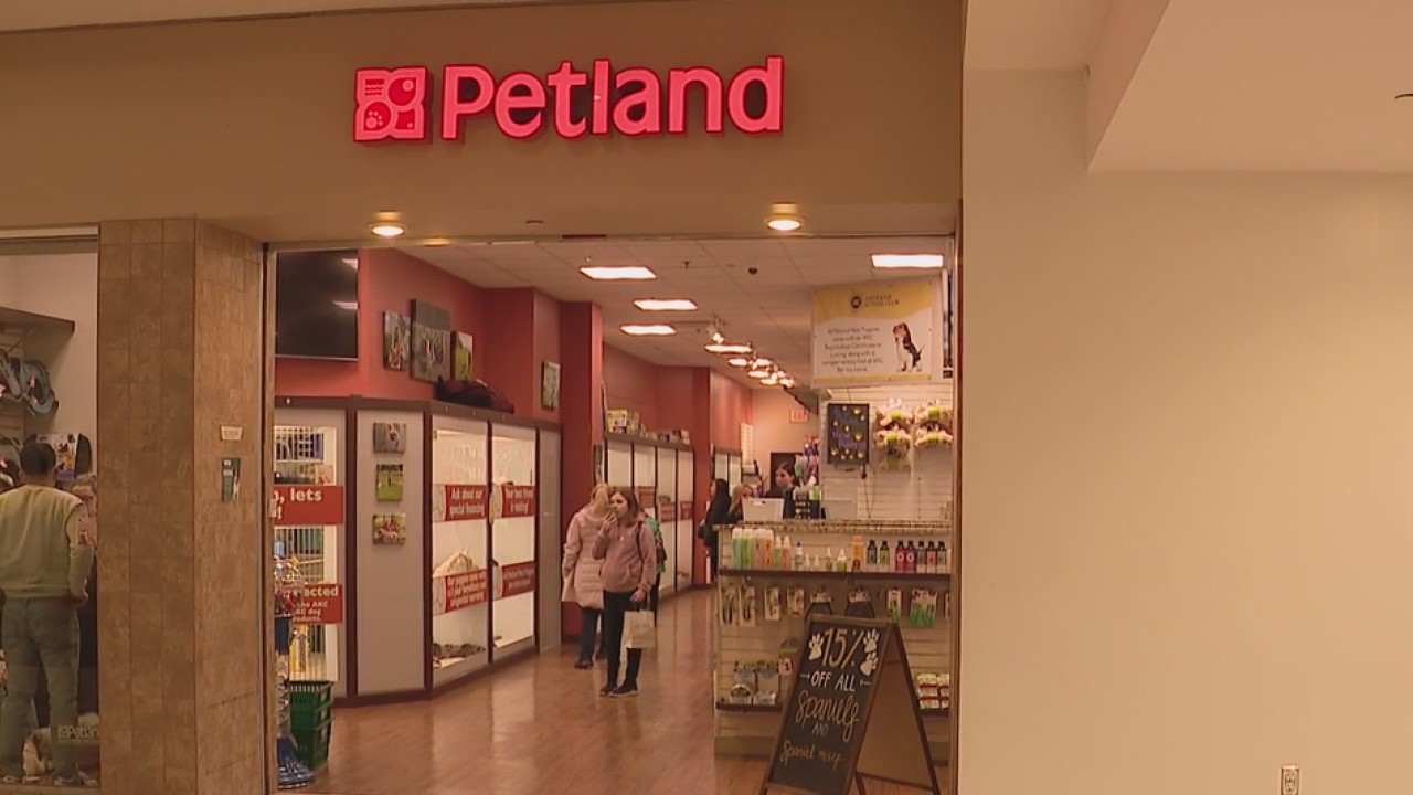 Investigation reveals animal neglect at Petland in Novi