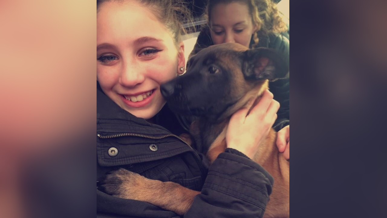 Family dog killed by MSP trooper during house search