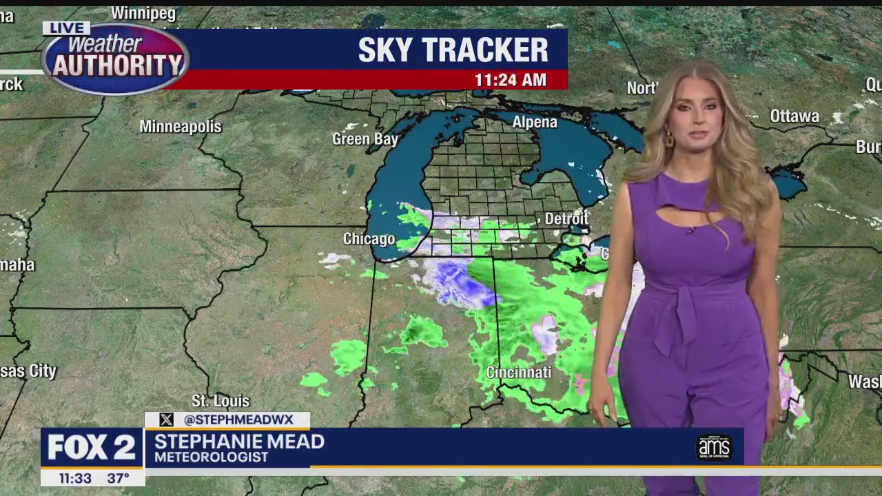 Damp day; Milder end to the week! | FOX 2 Detroit