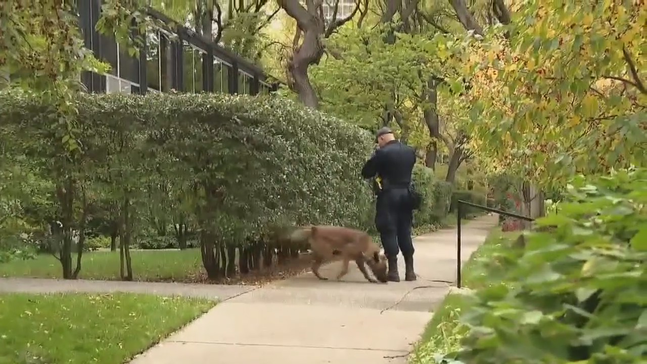 Person of interest in Samantha Woll murder in custody