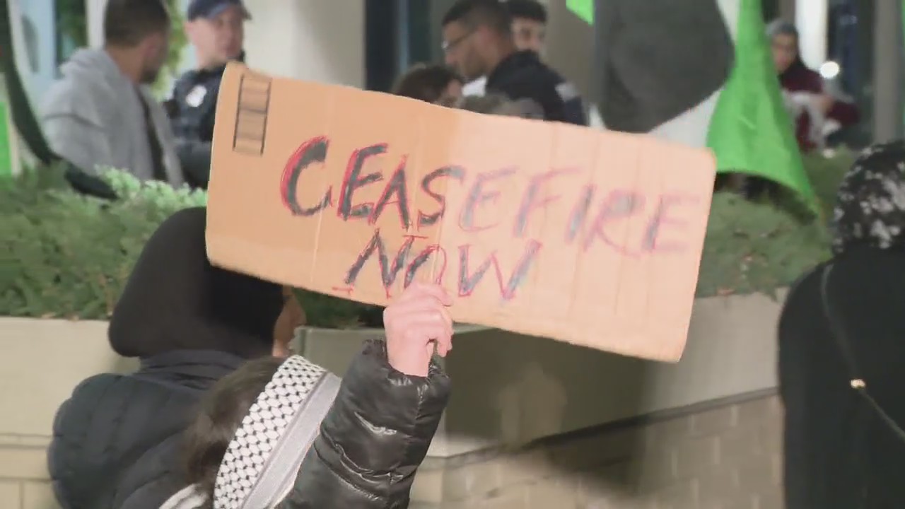 Two arrested at Free Palestine rally in Royal Oak