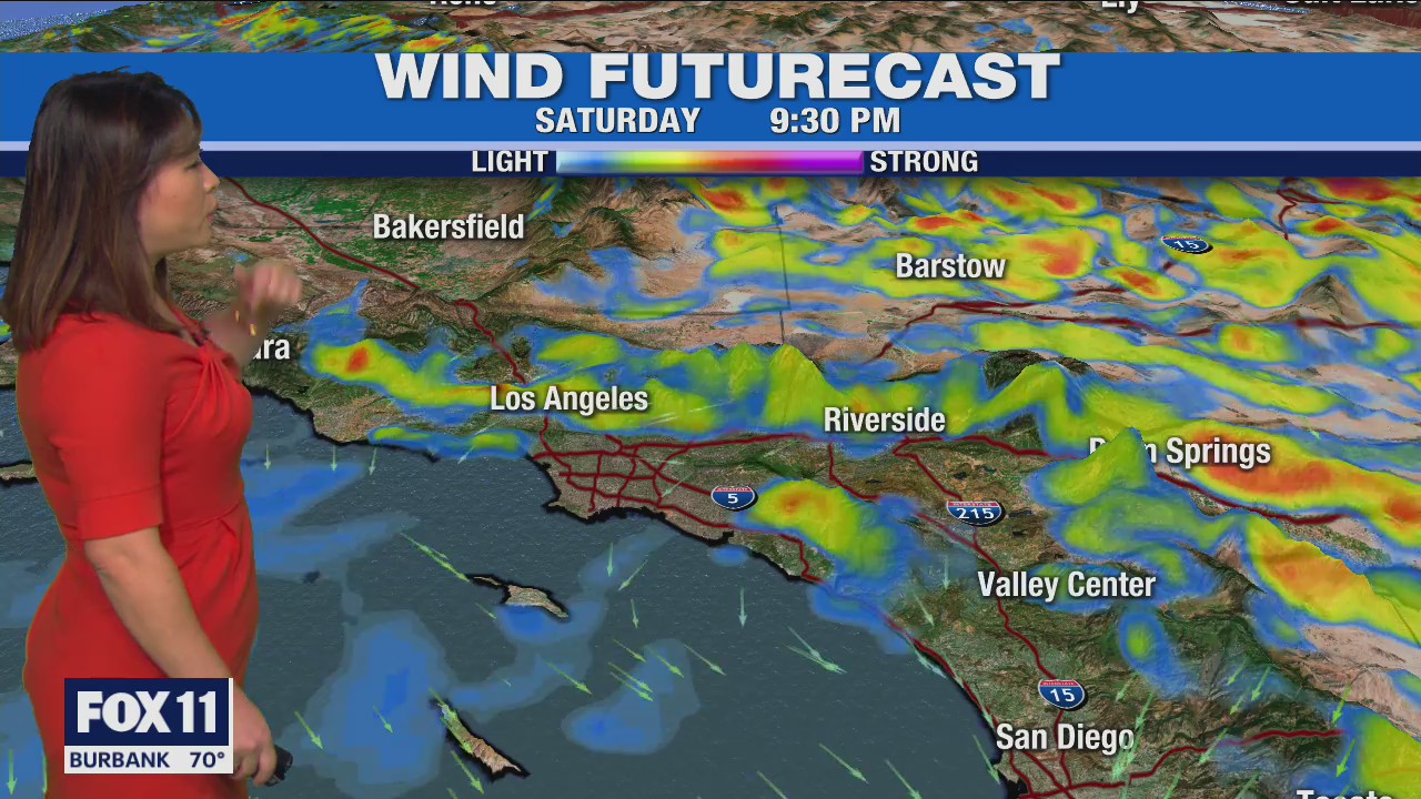 Weather Forecast: Saturday, Jan. 22