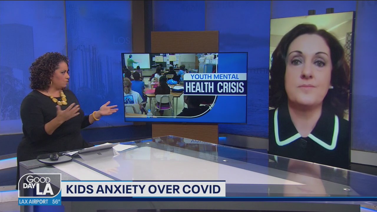 National youth mental health crisis