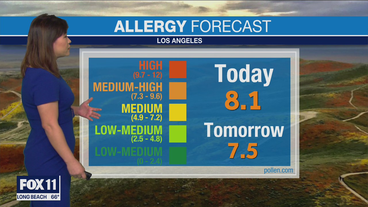 Weather Forecast: Saturday, Jan 29