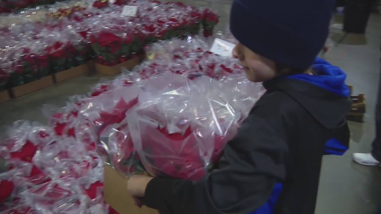 Last minute holiday ideas