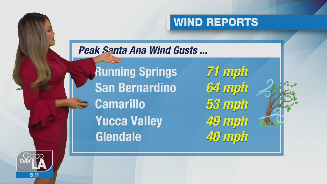 Weather Forecast: Thursday, Feb. 3
