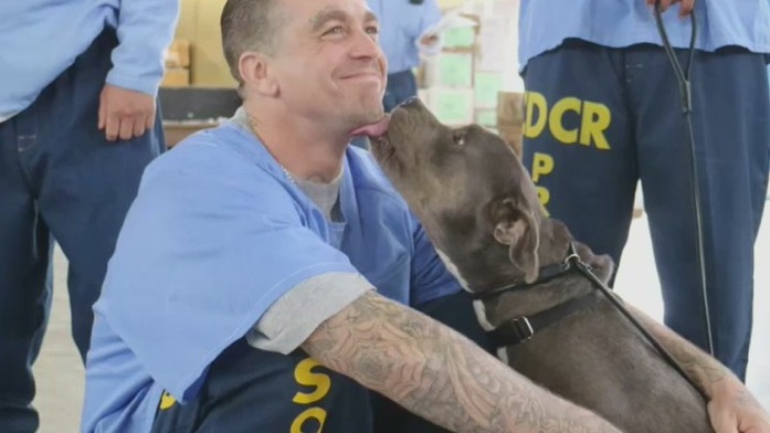 How 'Pawsitive Change' is making a difference