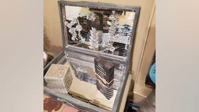 Painted by Pinson Boxed Out