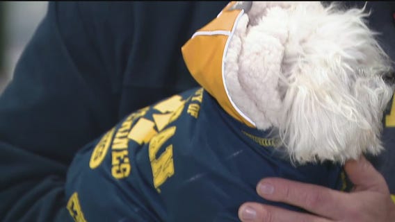 Michigan Fans at the Airport