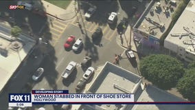 Woman stabbed outside a shoe store in Fairfax
