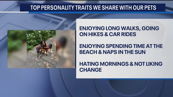 Top Personality Traits We Share With Out Pets
