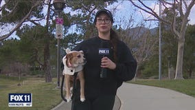 Families, pets in Southern California feel blast of cold air