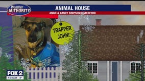 Meet Trapper John