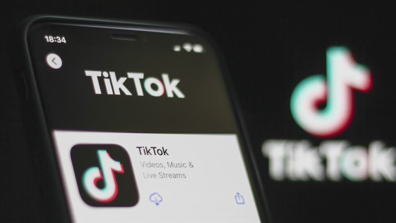 Gov. Gretchen Whitmer still uses TikTok despite ban for federal employees