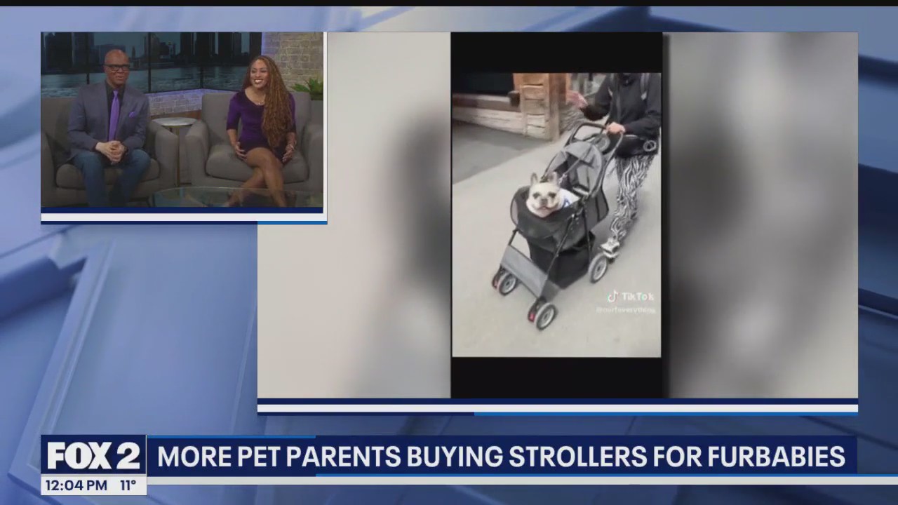 Dog strollers, Apple Vision Pro, Ford Field | The Noon