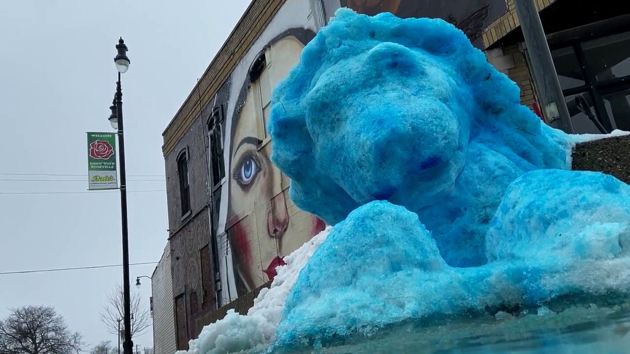 'Go Lions': Big blue lion sculpted out of snow in Roseville