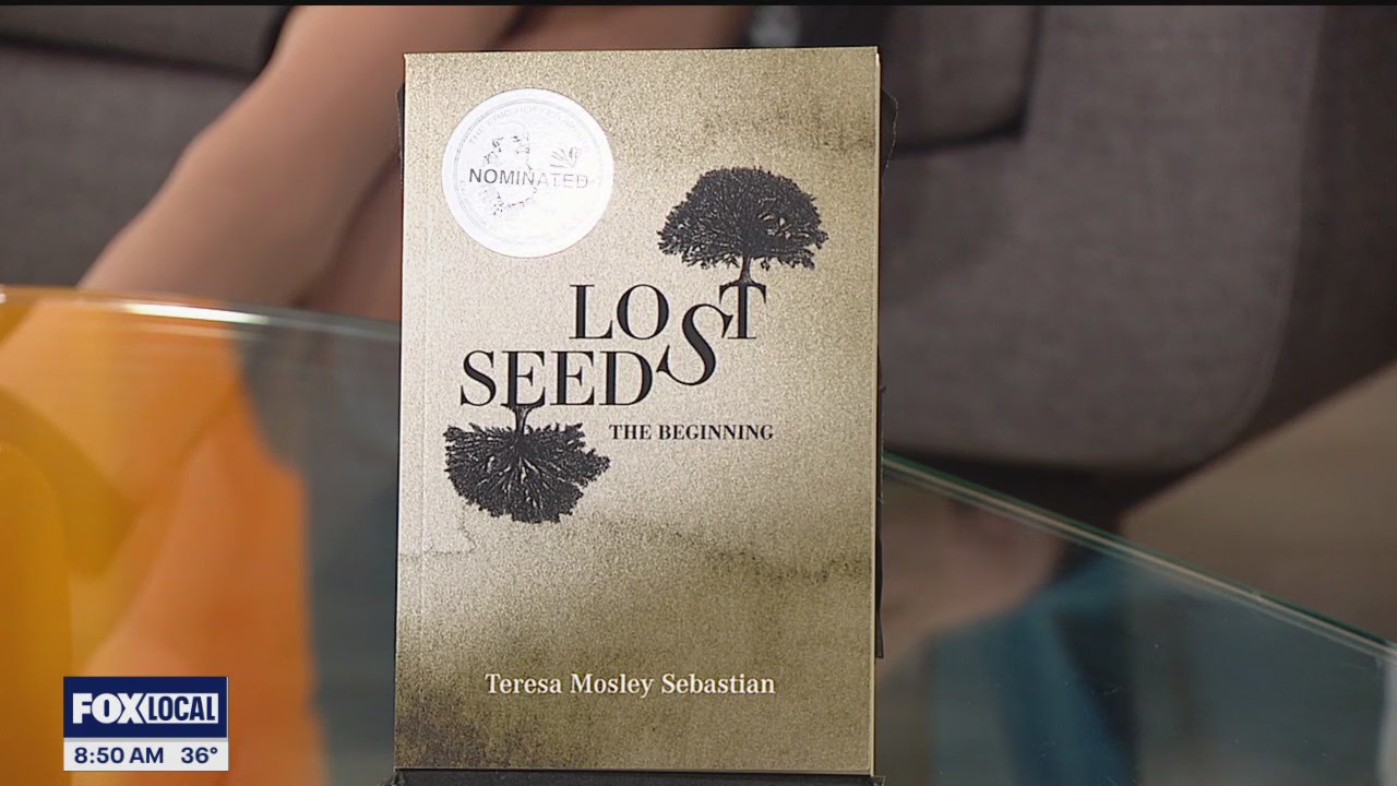 Detroit attorney captures life during reconstruction in the deep South in first novel