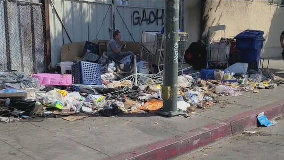 Woman has been living homeless on LA street for 7 years as Newsom looks to tackle crisis
