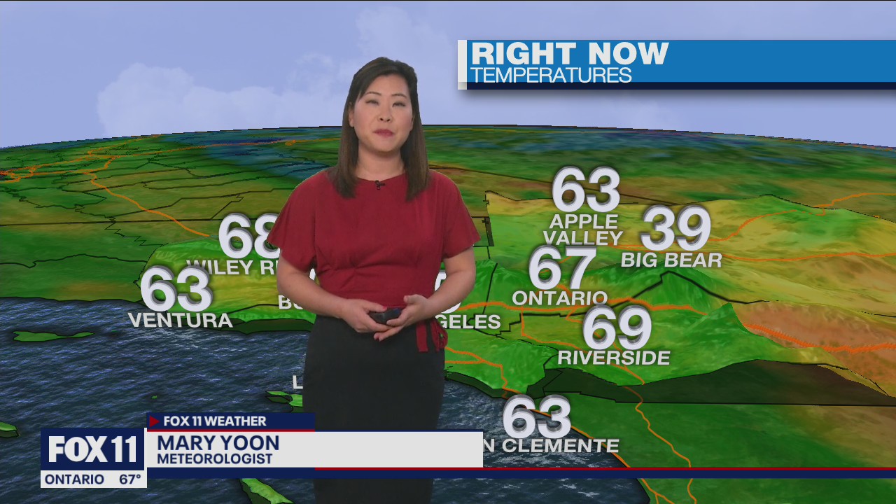 Weather Forecast: Sunday, March 13