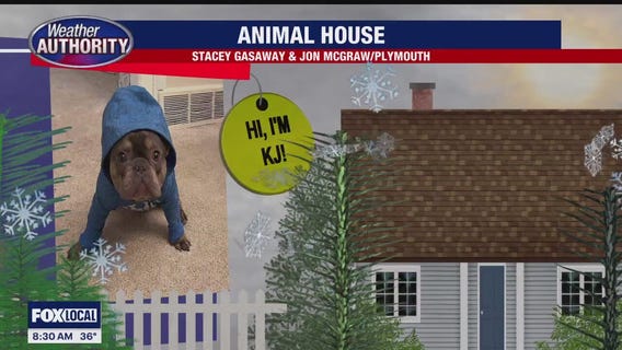 Meet Kendall Jackson