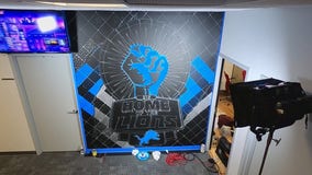 FOX 2's Lions Mural Timelapse