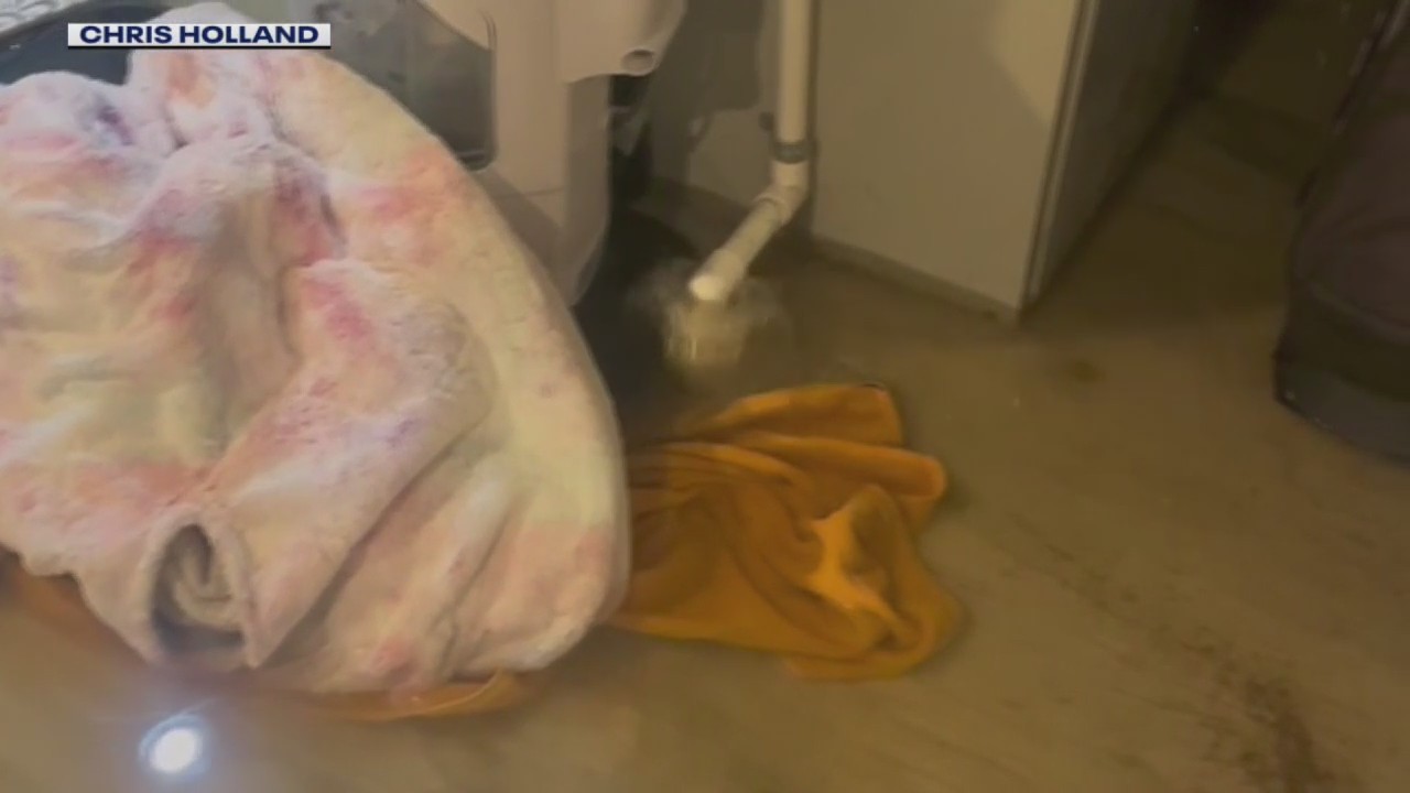 Lincoln Park homes flooded, no answers from city